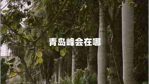 青島峰會在哪