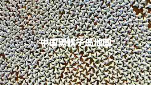 中國(guó)黑瞎子島地圖