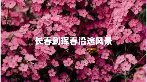 長(cháng)春到琿春沿途風(fēng)景