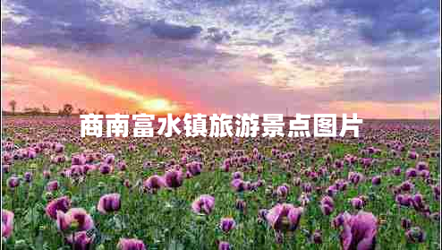 商南富水鎮(zhèn)旅游景點(diǎn)圖片