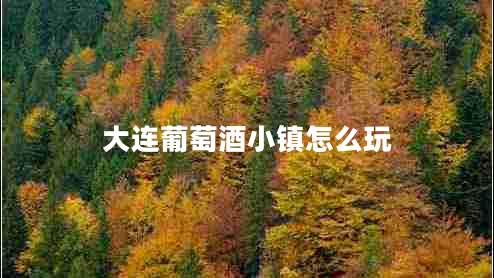 大連葡萄酒小鎮(zhèn)怎么玩