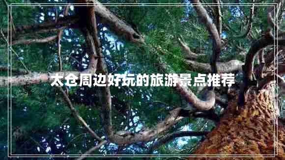 太倉(cāng)周邊好玩的旅游景點(diǎn)推薦