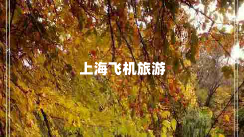 上海飛機(jī)旅游