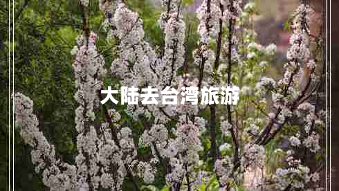 大陸去臺灣旅游