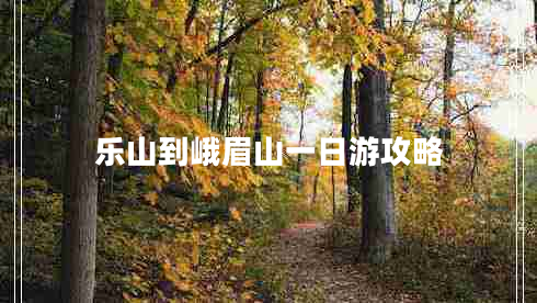 樂(lè )山到峨眉山一日游攻略