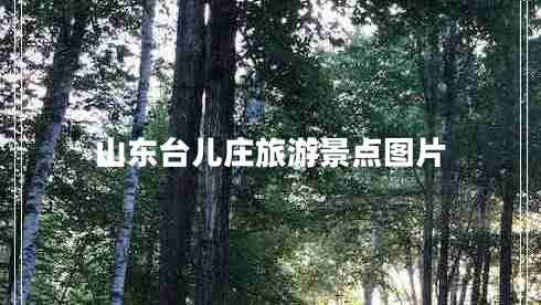 山東臺兒莊旅游景點(diǎn)圖片