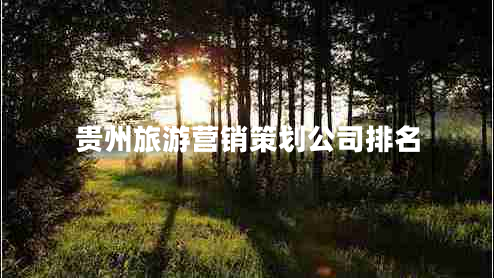 貴州旅游營(yíng)銷策劃公司排名
