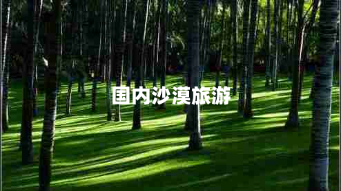 國內(nèi)沙漠旅游