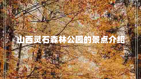 山西靈石森林公園的景點介紹