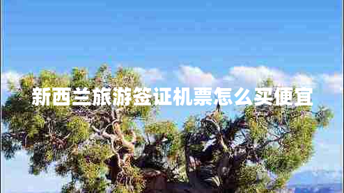 新西蘭旅游簽證機票怎么買便宜