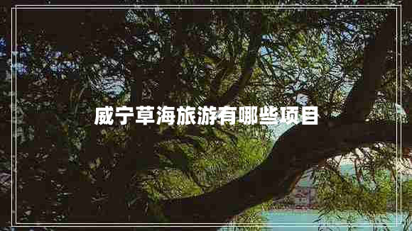威寧草海旅游有哪些項目