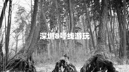 深圳8號線(xiàn)游玩