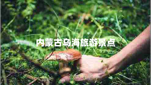 內蒙古烏海旅游景點(diǎn)