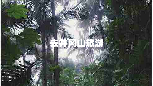 去井岡山旅游
