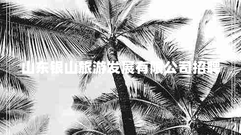 山東銀山旅游發(fā)展有限公司招聘