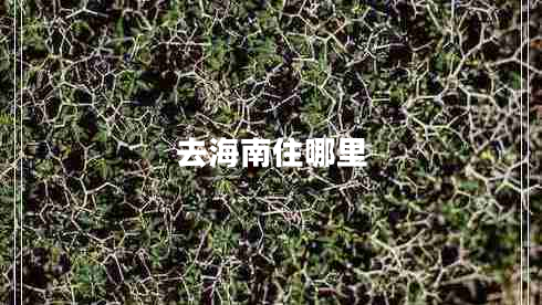 去海南住哪里