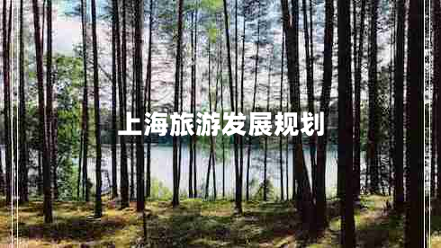 上海旅游發(fā)展規(guī)劃