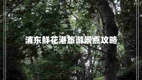 浦東鮮花港旅游景點(diǎn)攻略