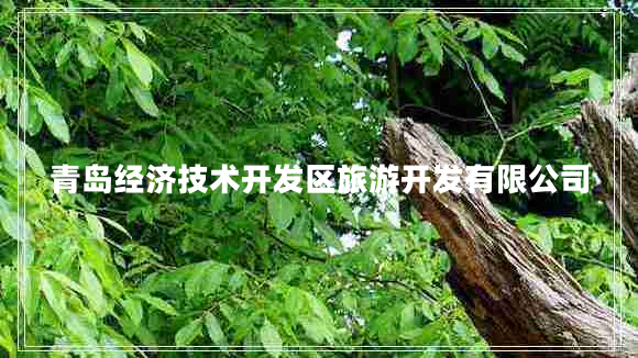 青島經(jīng)濟技術(shù)開發(fā)區(qū)旅游開發(fā)有限公司