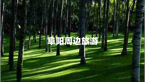 阜陽(yáng)周邊旅游