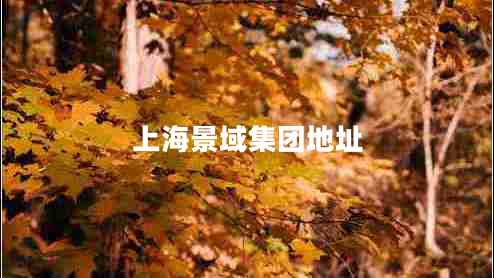 上海景域集團(tuán)地址