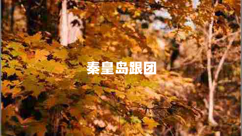 秦皇島跟團