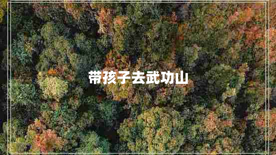 帶孩子去武功山