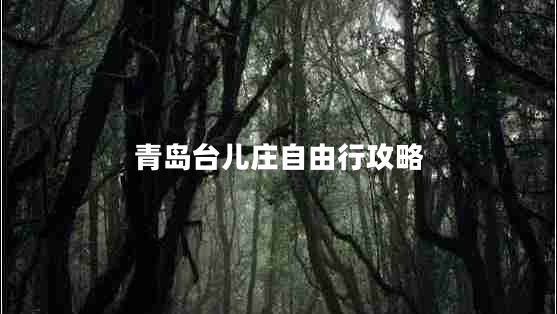 青島臺(tái)兒莊自由行攻略