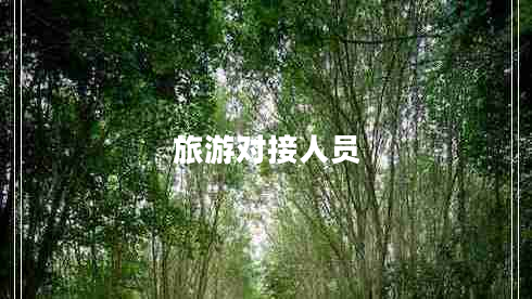 旅游對接人員