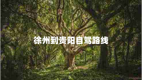 徐州到貴陽自駕路線
