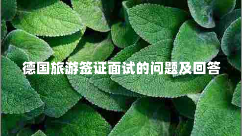 德國旅游簽證面試的問(wèn)題及回答