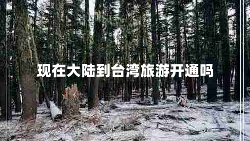 現(xiàn)在大陸到臺(tái)灣旅游開通嗎