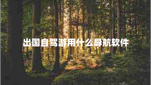 出國(guó)自駕游用什么導(dǎo)航軟件