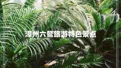 漳州六鰲旅游特色景點