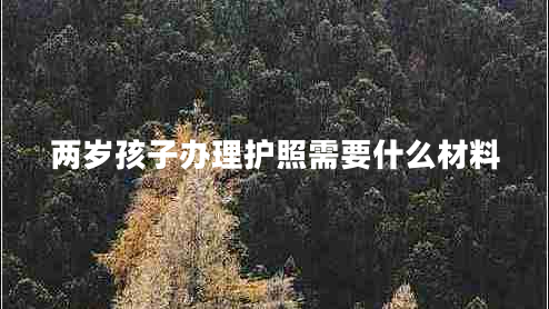 兩歲孩子辦理護照需要什么材料