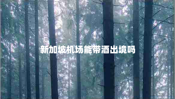 新加坡機(jī)場(chǎng)能帶酒出境嗎