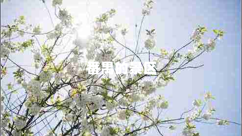 番禺的景區(qū)