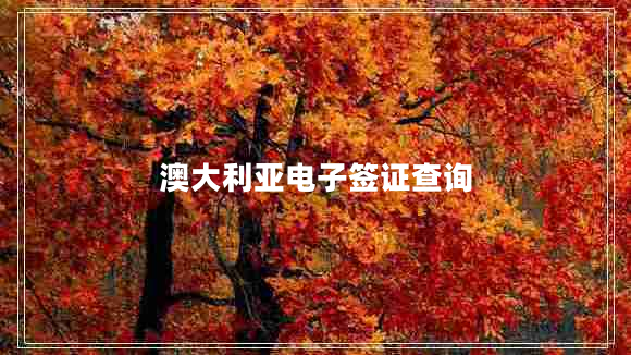 澳大利亞電子簽證查詢(xún)