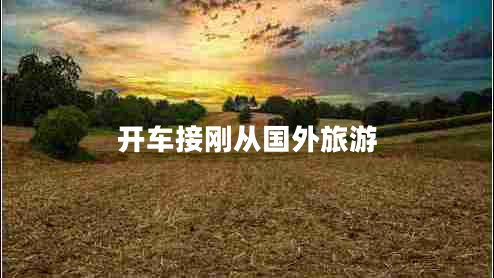 開車接剛從國外旅游