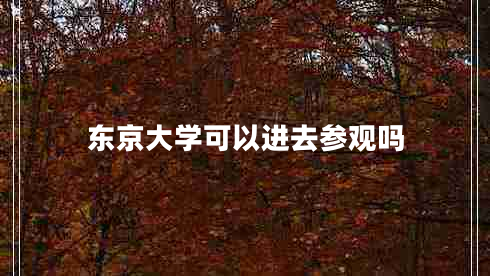 東京大學可以進去參觀嗎