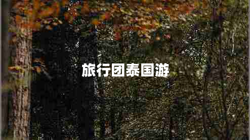 旅行團(tuán)泰國游
