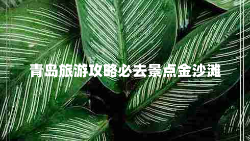 青島旅游攻略必去景點金沙灘