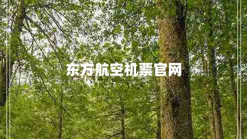 東方航空機票官網(wǎng)