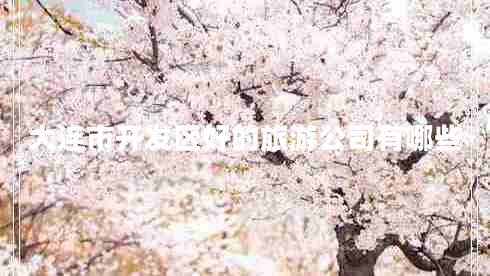 大連市開(kāi)發(fā)區好的旅游公司有哪些
