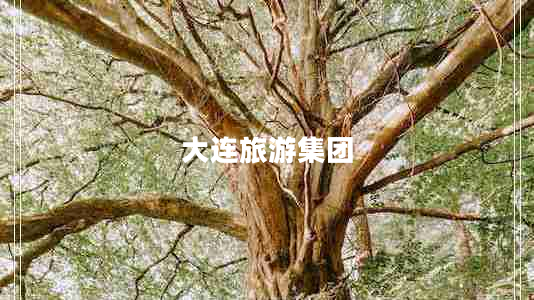 大連旅游集團