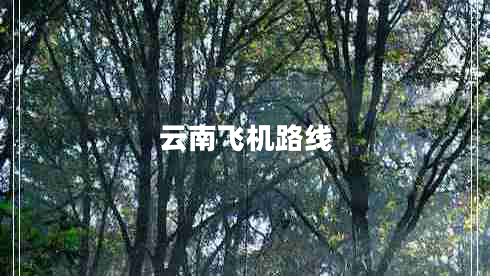 云南飛機(jī)路線