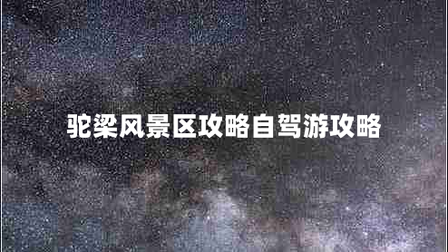 駝梁風景區(qū)攻略自駕游攻略