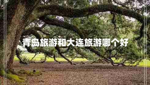 青島旅游和大連旅游哪個好