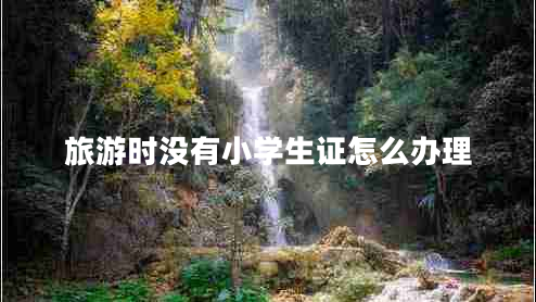 旅游時(shí)沒有小學(xué)生證怎么辦理