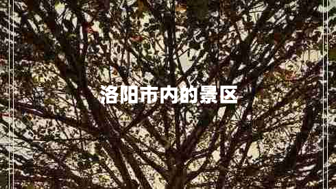 洛陽(yáng)市內的景區